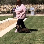 Woman walking daschund