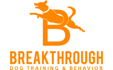 Breakthrough Dog Training