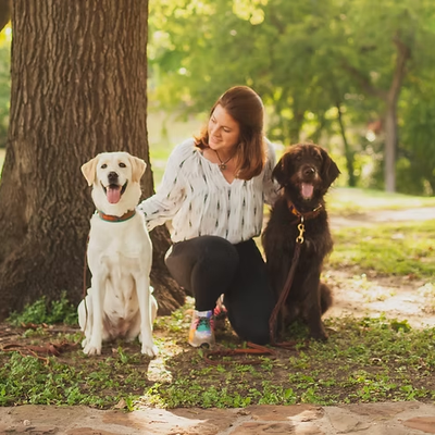 Chandler King Dog Trainer with two dogs